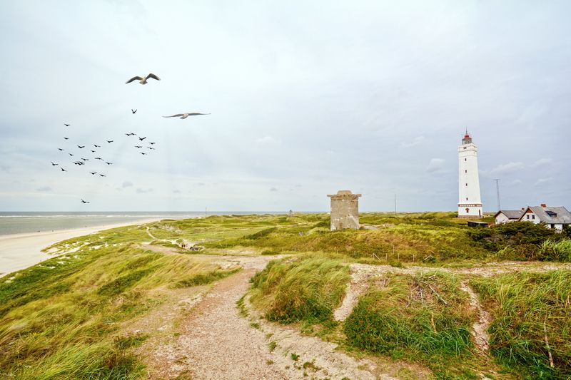 Die Vorteile von Skagen Sudstrand Camping